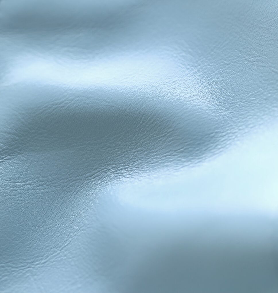 品質保証新作登場   シャネル   偽物 Antiba ZP ブルー牛革デイパック